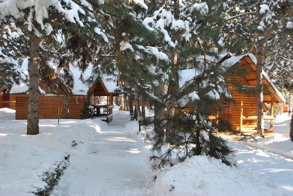 Kompleks Otdykha Elki-palki Holiday park