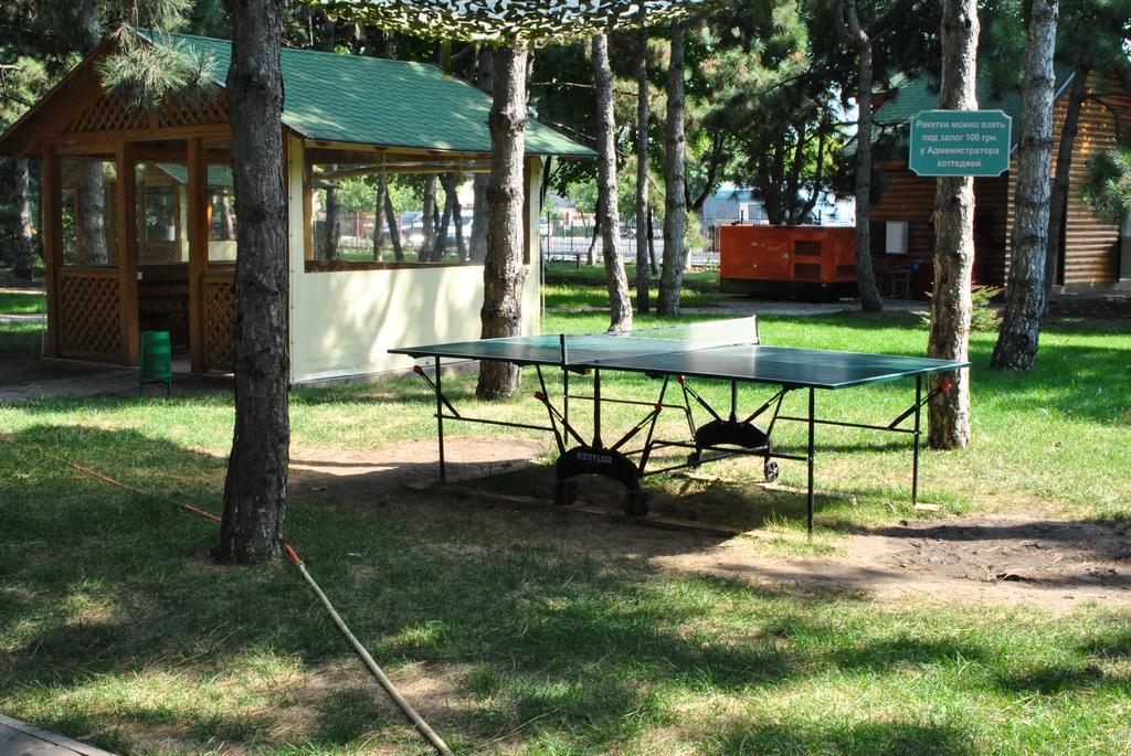Kompleks Otdykha Elki-palki 3*