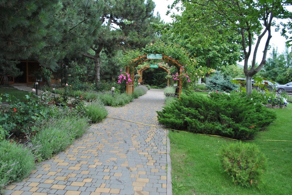 Kompleks Otdykha Elki-palki 3* Odessa