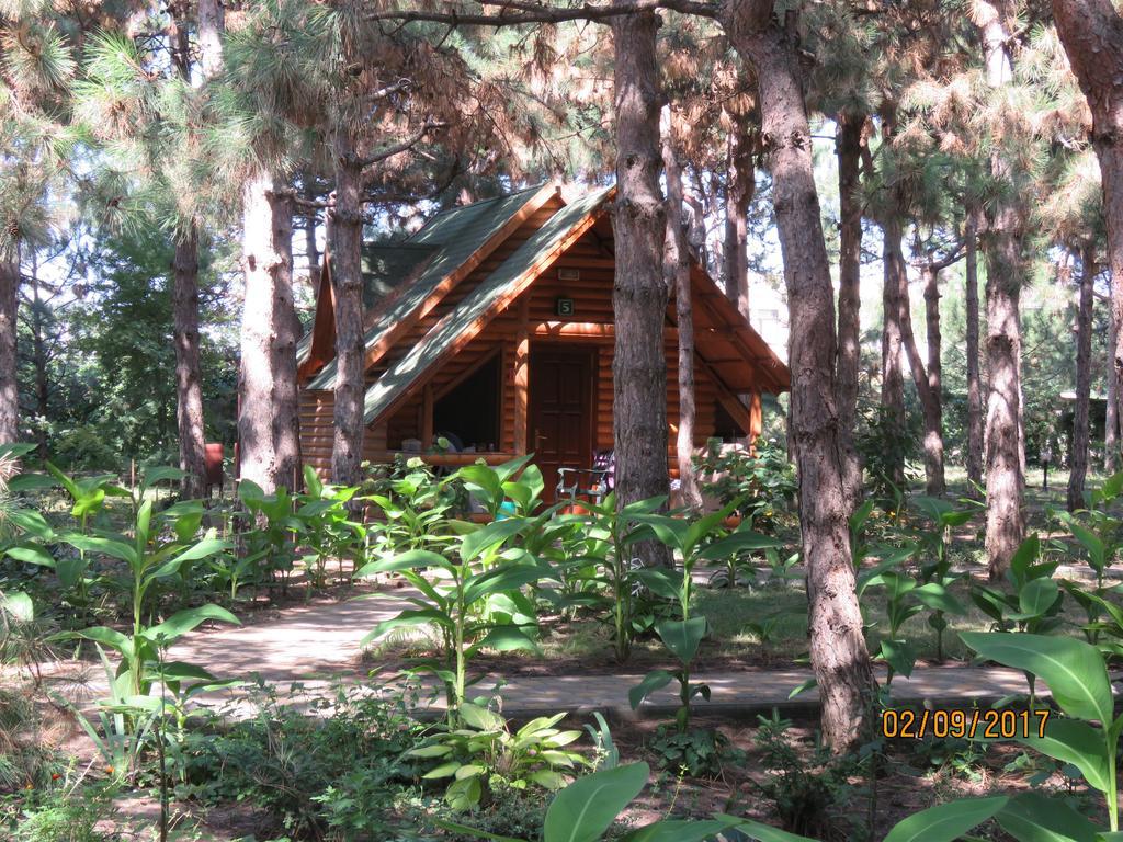 Ferienpark Kompleks Otdykha Elki-palki 3*